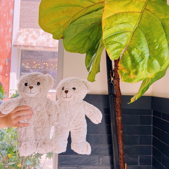 BUNDLE TWO STUFFED BEAR ANIMAL VALETINE - Picture 3 of 6